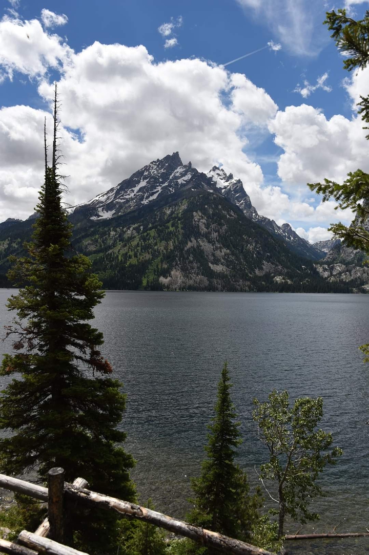 lac