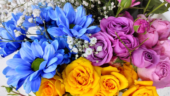 flowers