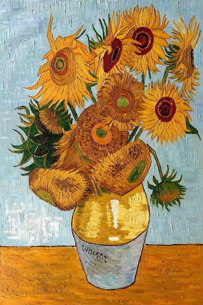 One of the sunflower series