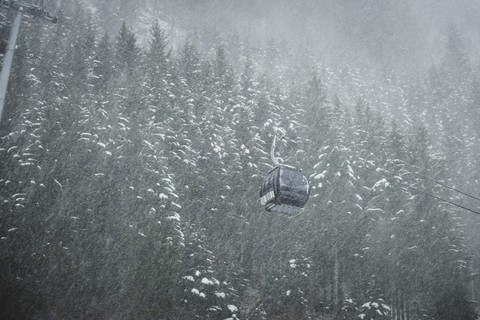 fog, winter wallpapers