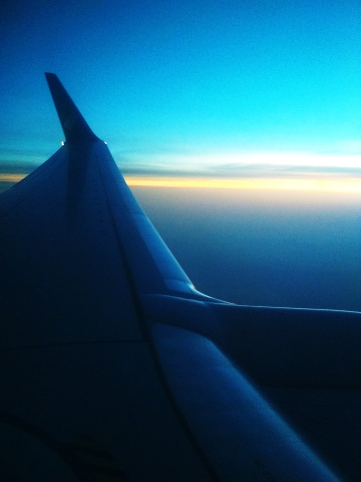 Fly heigh wings