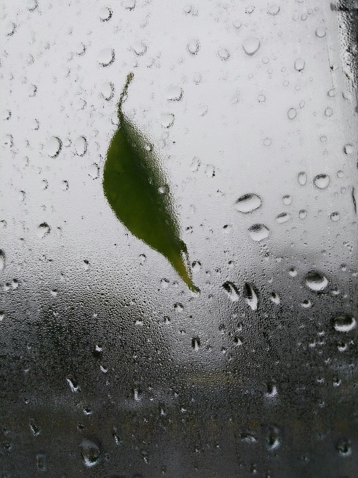 rain