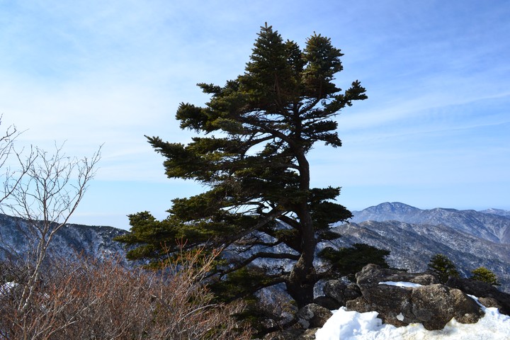지리산이미지