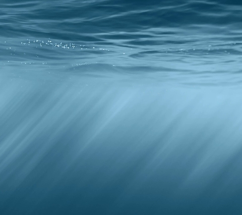 sea