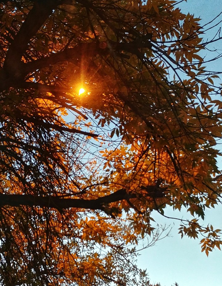 Nuestro Otoño