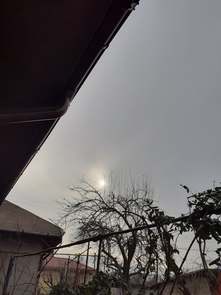 Winter sun