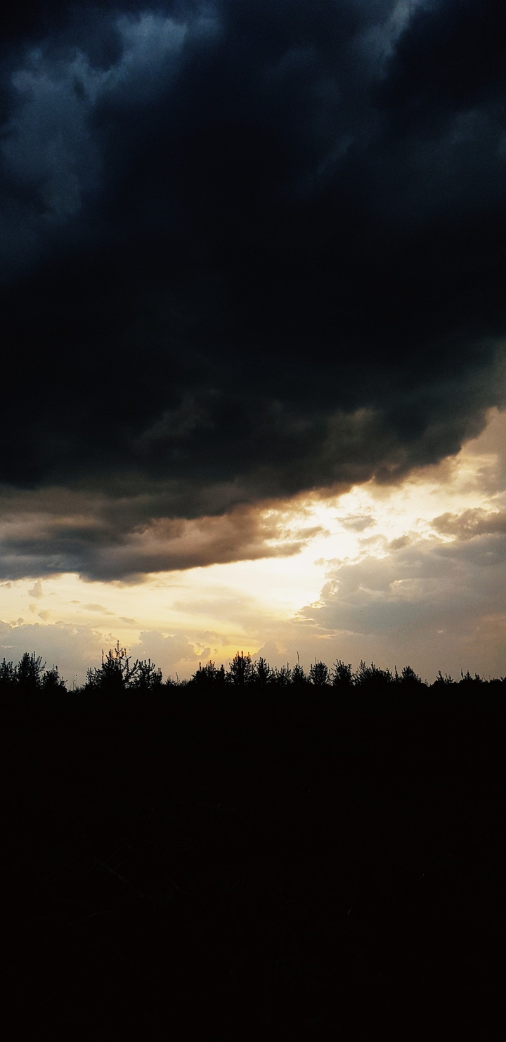 spring rain