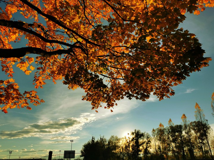 Autumn