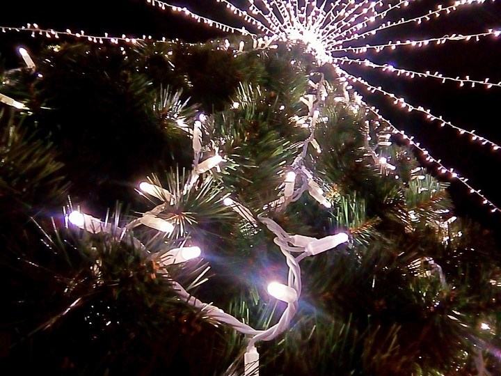 Lights