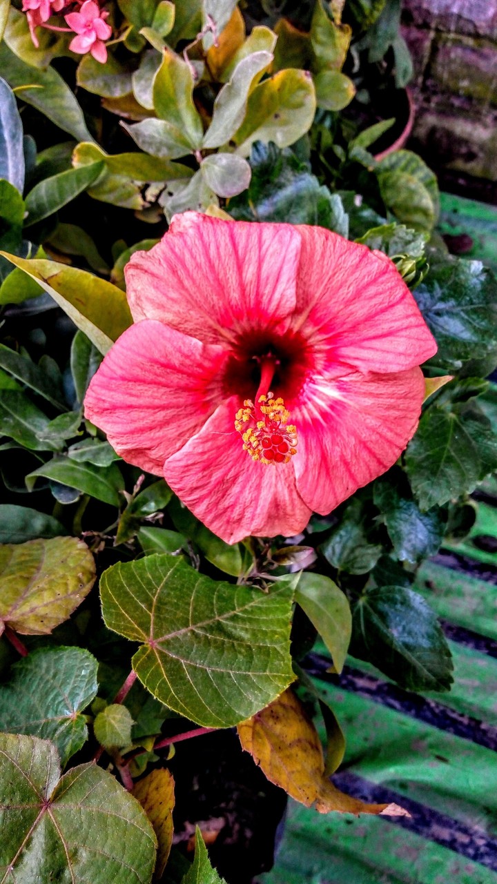 photography gives a relaxation of mind