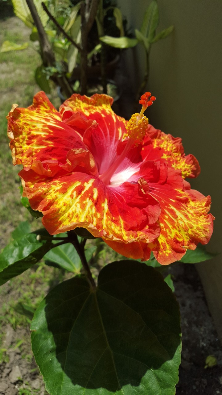 nature colors