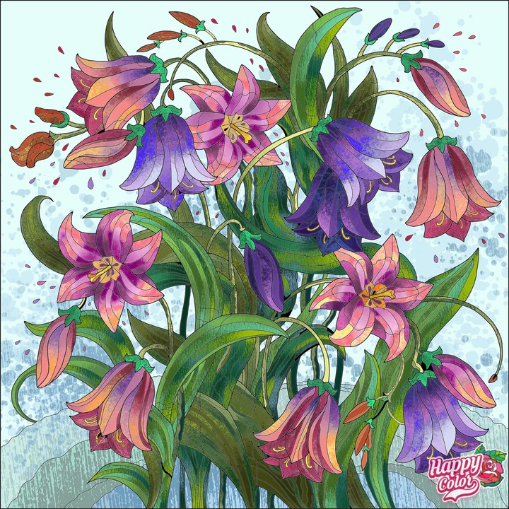 tulip flower