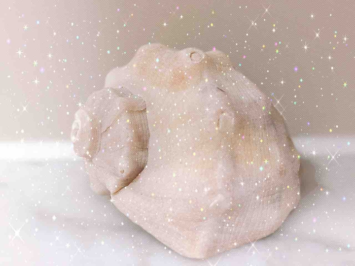 소라