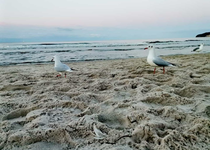Strand