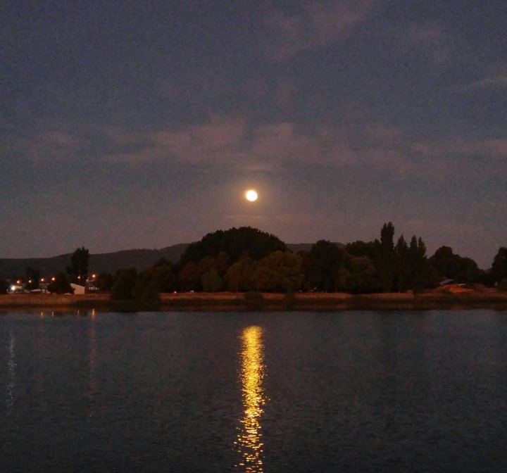 Luna bañandose sobre el rio Calle Calle, Valdivia