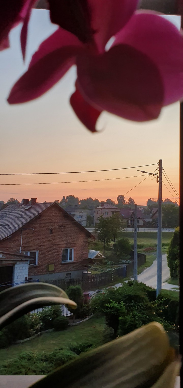 Sunrise