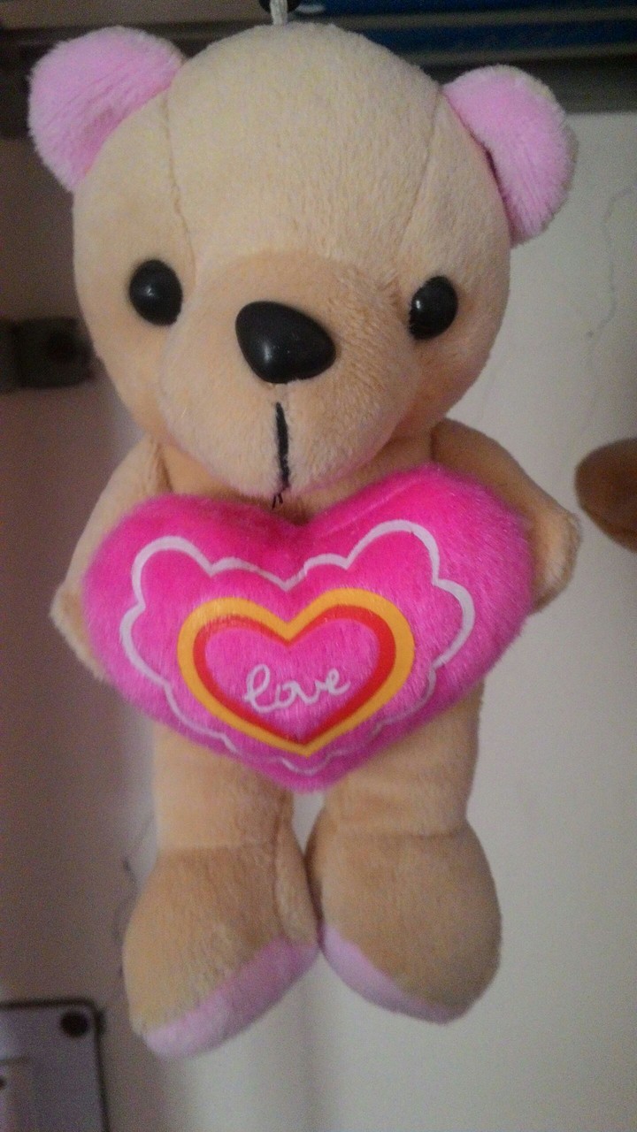teddy
