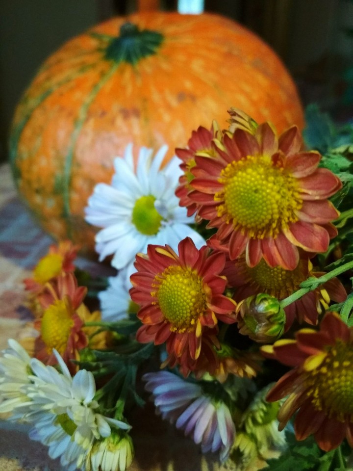 autumn