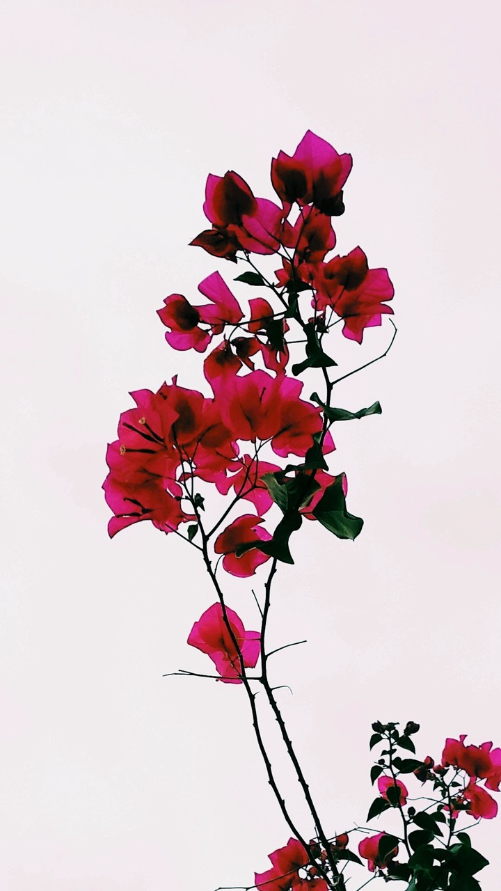 One