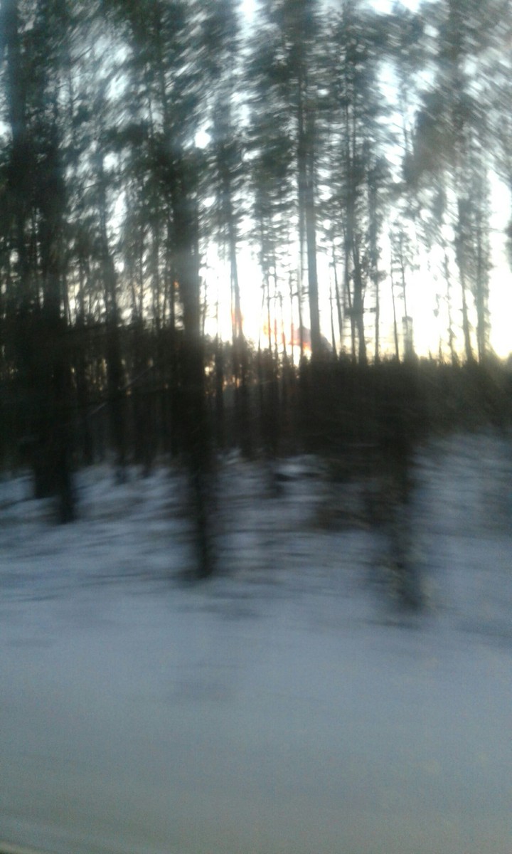 nature