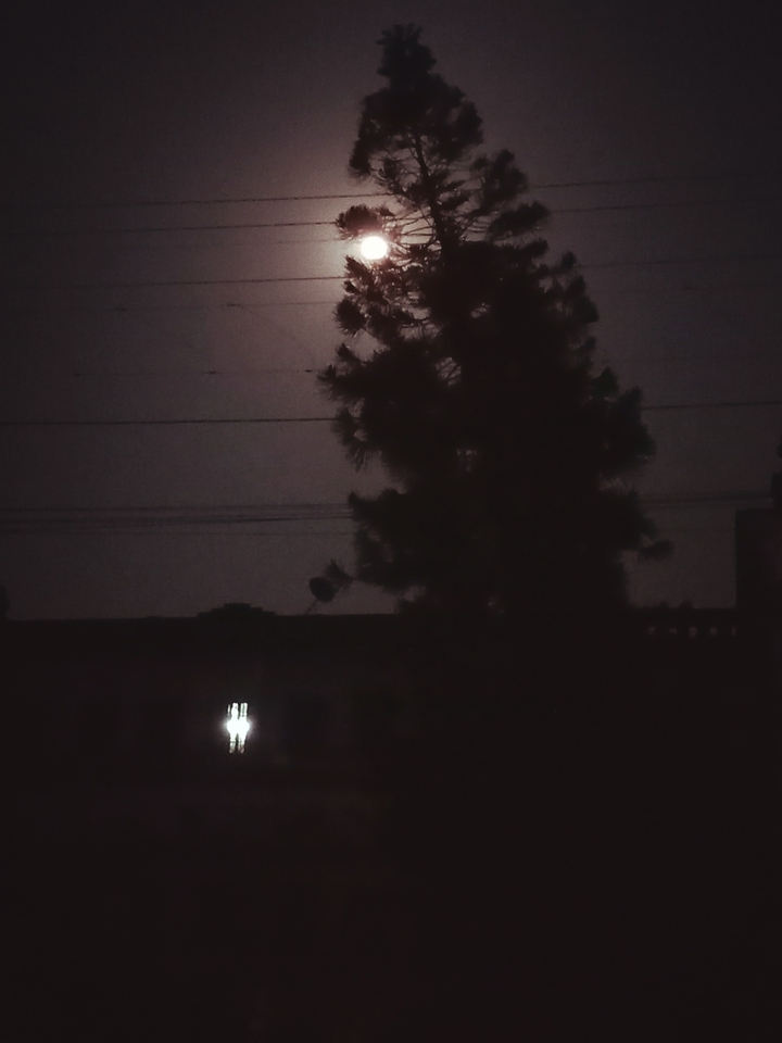 moon at night