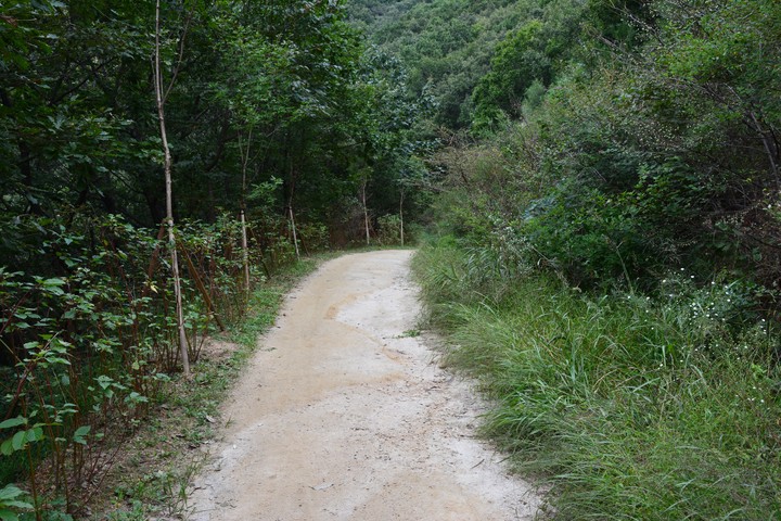 수리산이미지