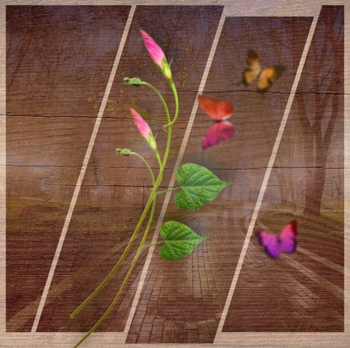 wallpaper...