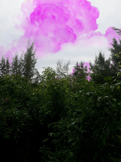 шпалери phenomenon, tree