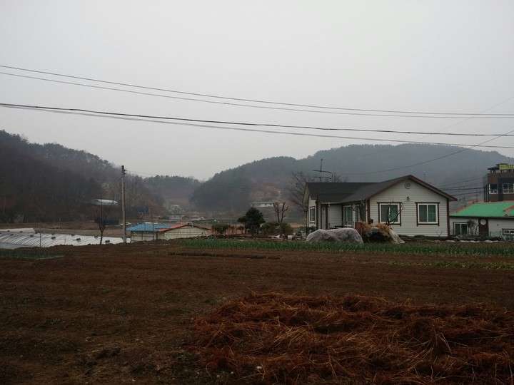 Home