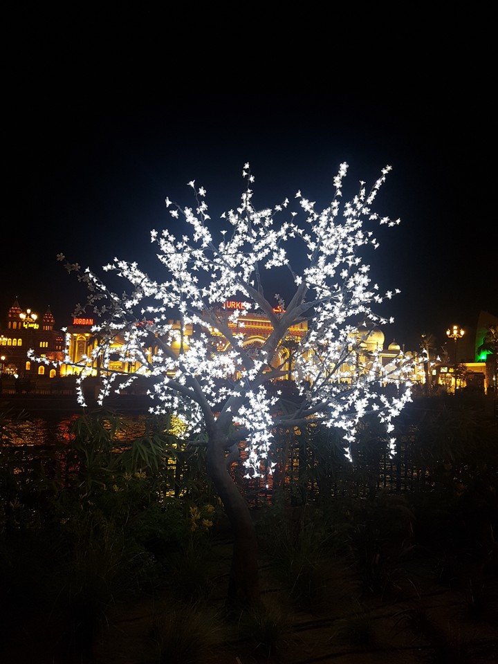 global village