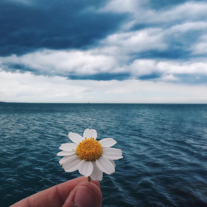 sea