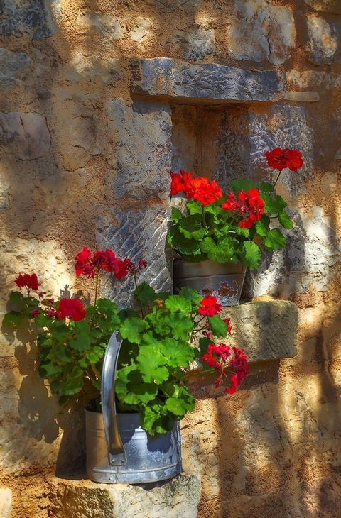 шпалери letter, floristry