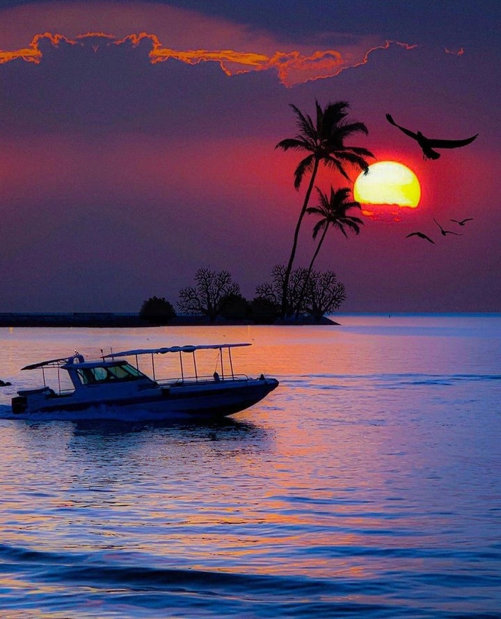 #sunset