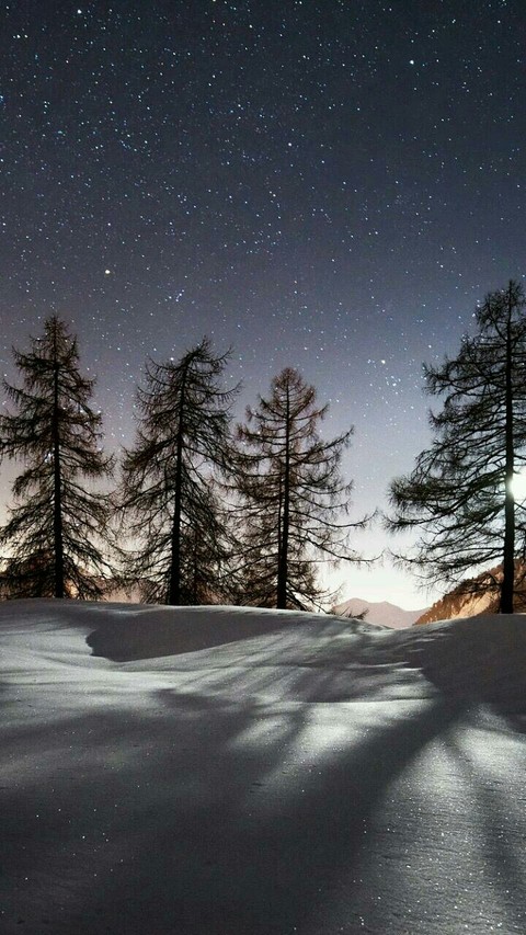 Winter