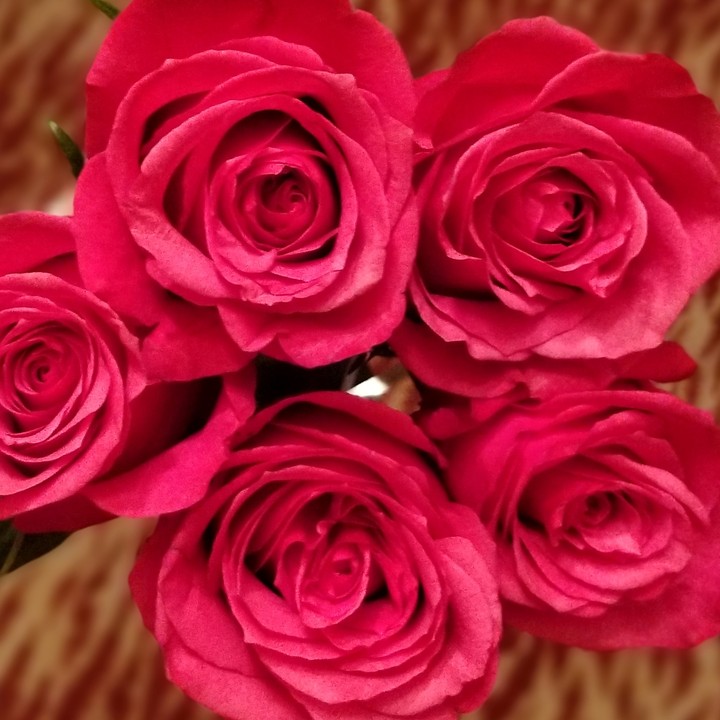 roses