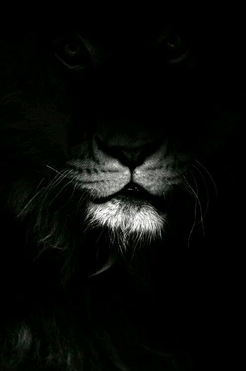 Be the king