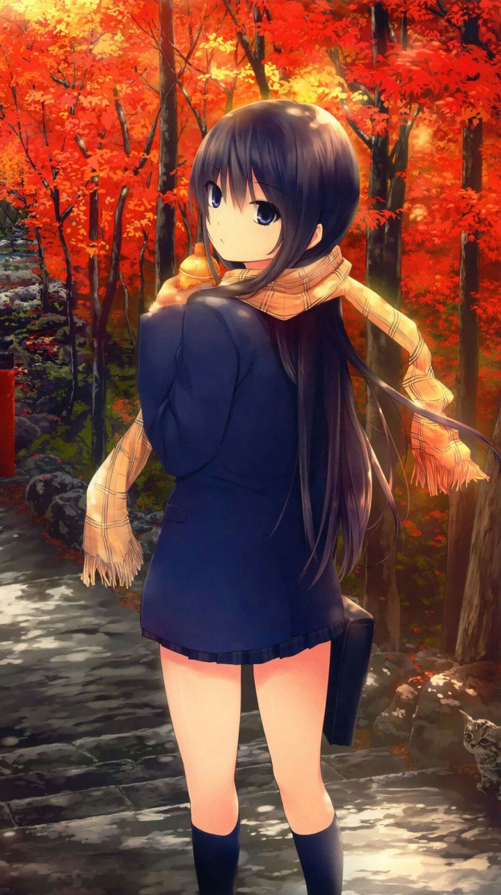 anime
