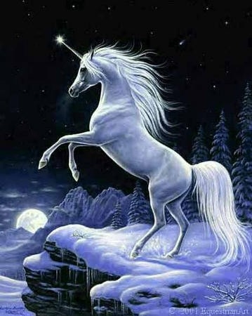 Unicorn