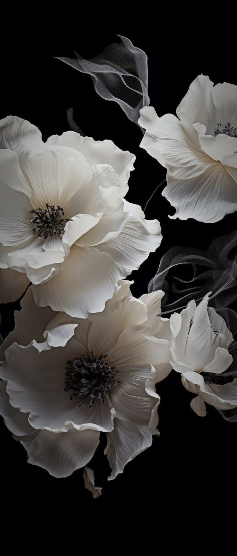 sfondi Anemone, flower