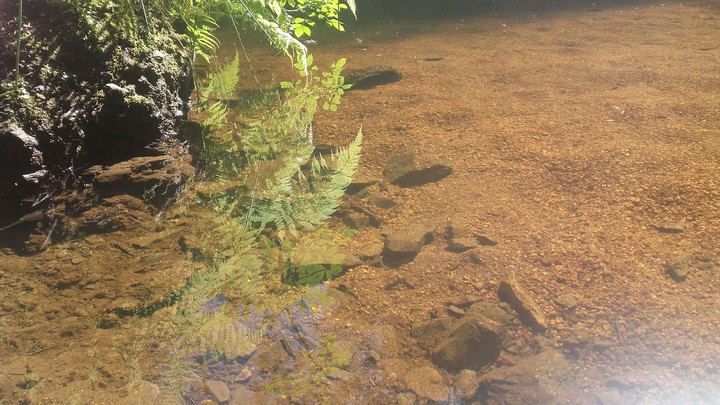 water