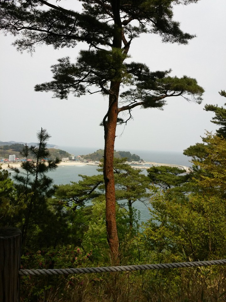 바다