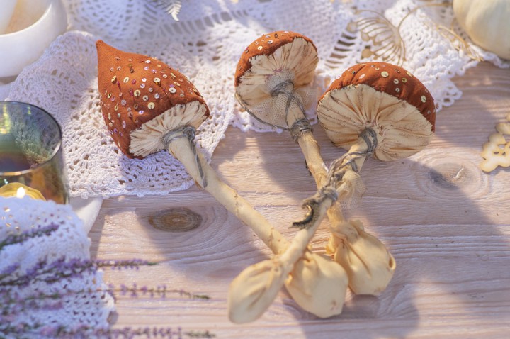 Mushrooms.
