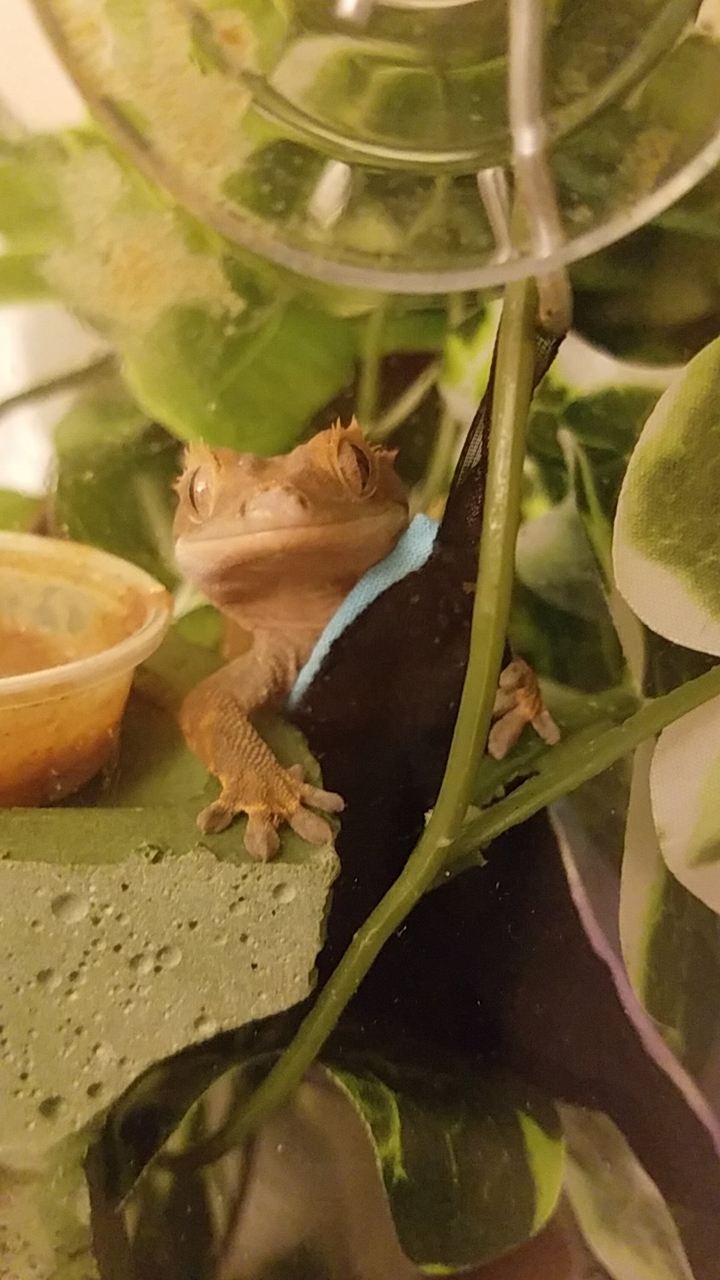 :)