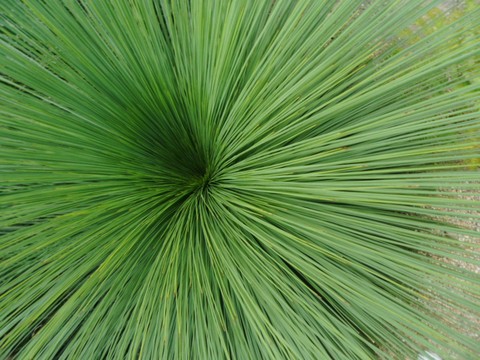 from above