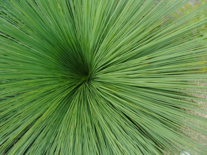 from above