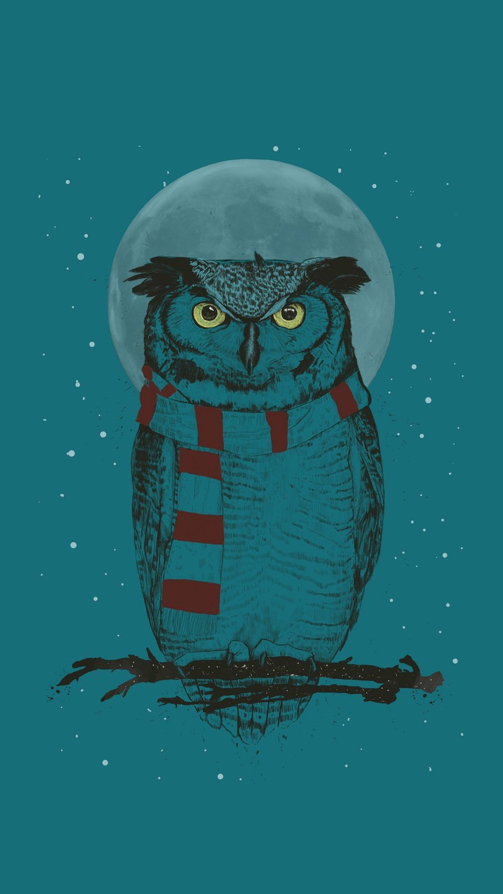 Winter owl