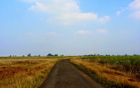 post monsoon colors