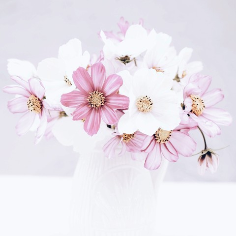 flower love