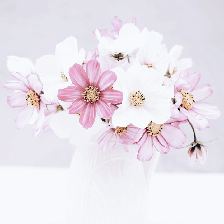 flower love