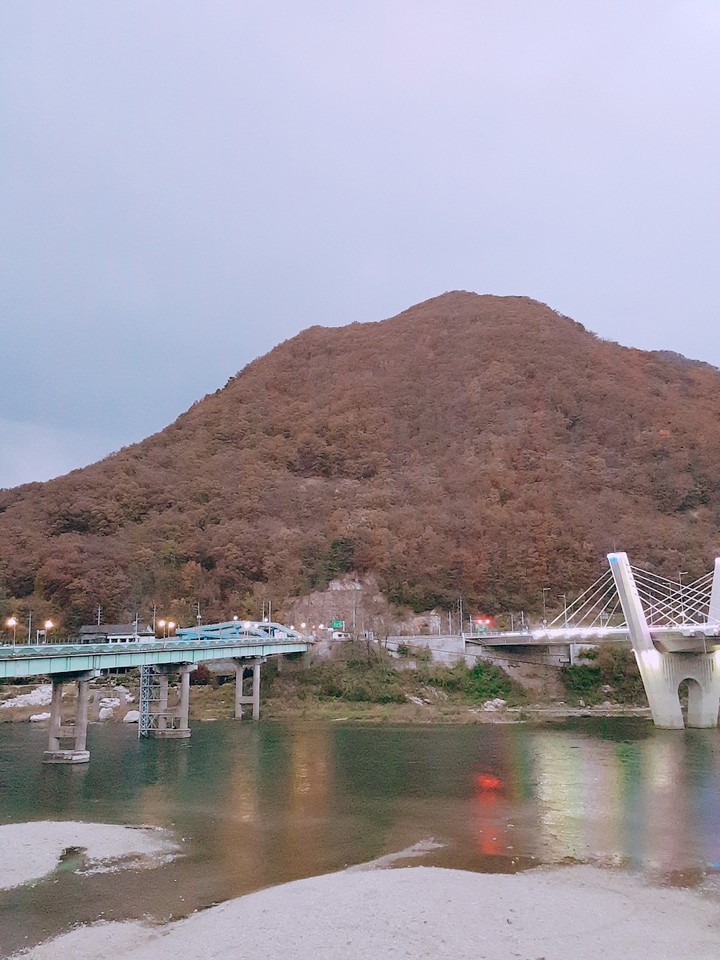 대한민국